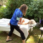 Outdoor massage on massage table